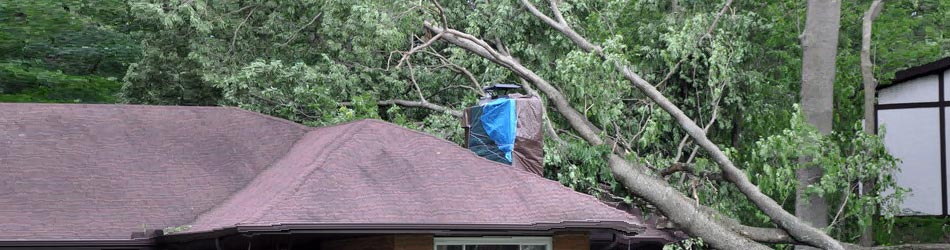 Community Public Adjusters - Wind and Hail Damage Claims Image
